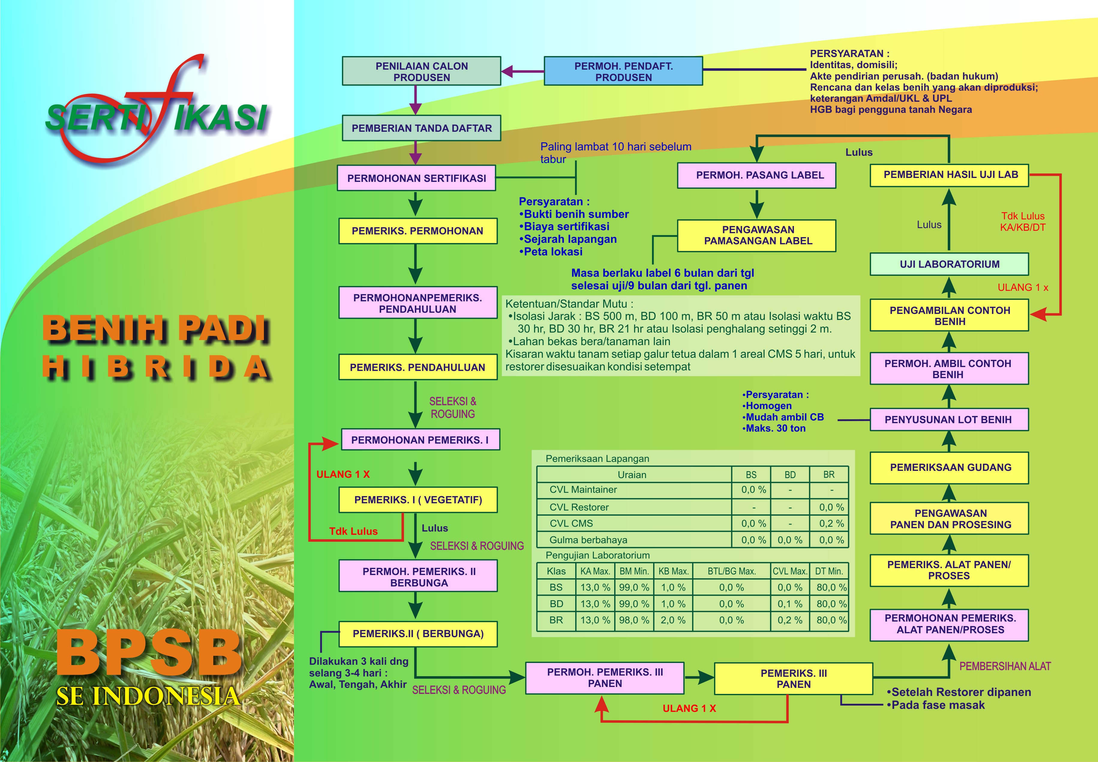 Kementan Sanggah Tudingan IPB tentang Bakteri `Burkholderia Glumae`